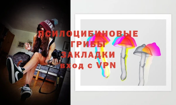 спиды Богданович
