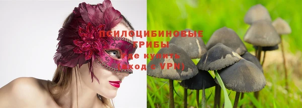 спиды Богданович