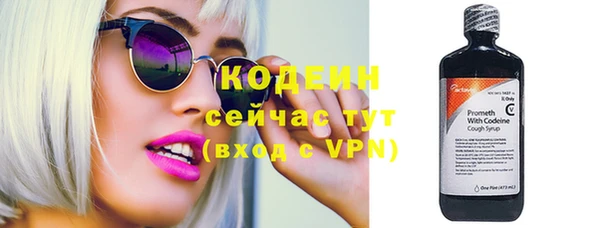 спиды Богданович