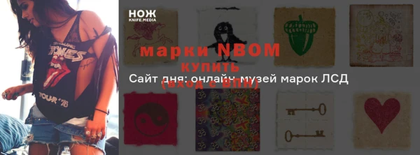 мдпв Богородицк