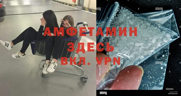 спиды Богданович