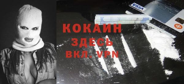 спиды Богданович