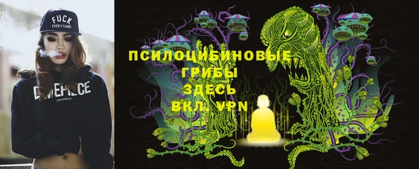 мдпв Богородицк
